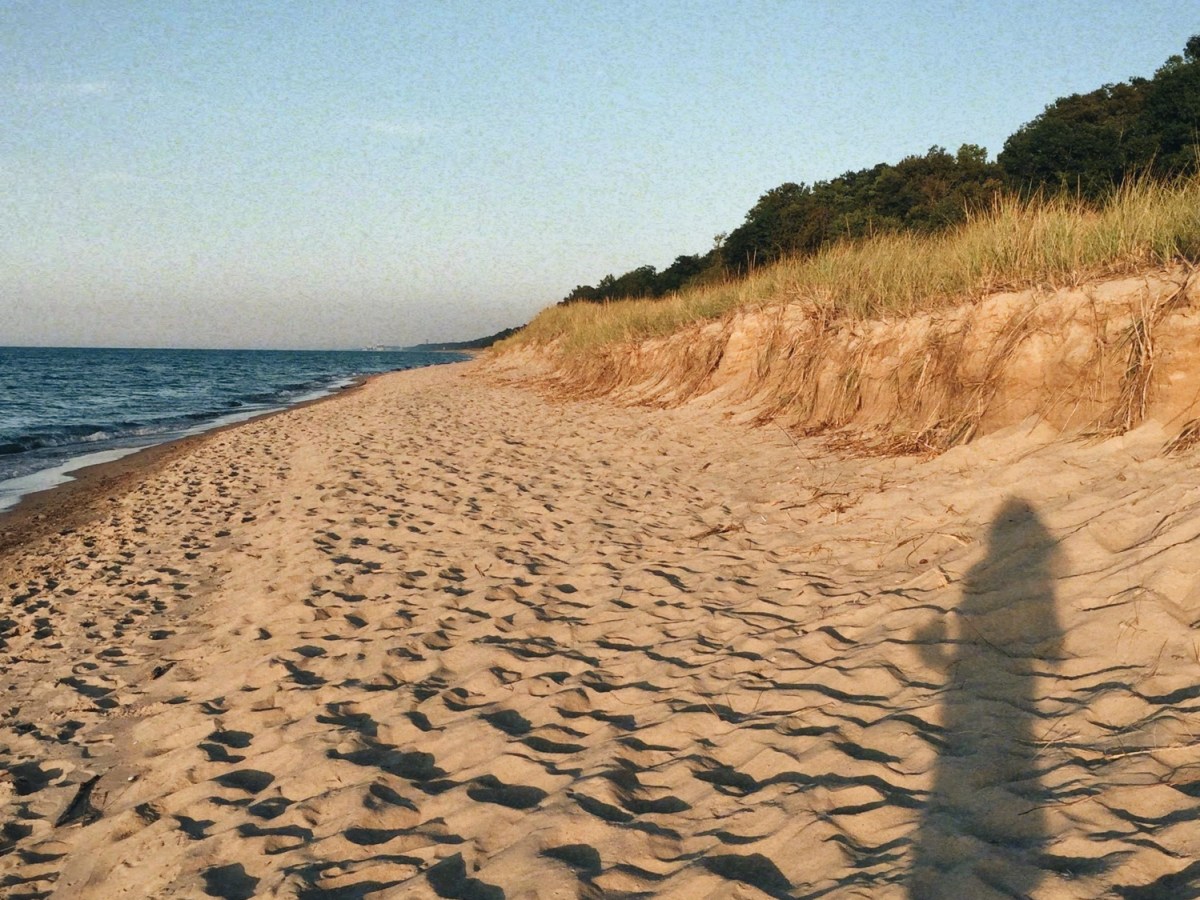 The Courage to&nbsp;Write