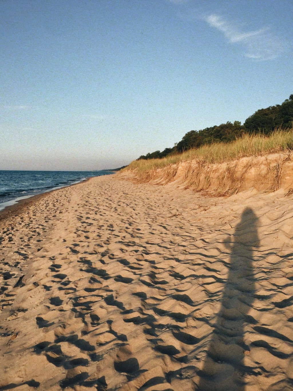 The Courage to&nbsp;Write